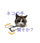 リーフの日常会話♡（個別スタンプ：35）