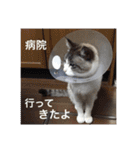リーフの日常会話♡（個別スタンプ：36）