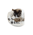 リーフの日常会話♡（個別スタンプ：39）