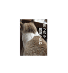 リーフの日常会話♡（個別スタンプ：40）