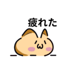 かわいい顔文字なネコたち Vol.2（個別スタンプ：7）