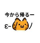 かわいい顔文字なネコたち Vol.2（個別スタンプ：23）