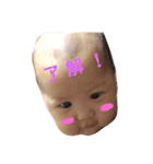 吉田Family/KAk（個別スタンプ：12）