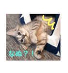 ミヌエットのエアロくん（個別スタンプ：3）