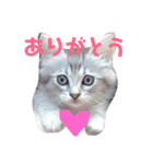 ミヌエットのエアロくん（個別スタンプ：4）