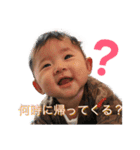 うえさまのひよちゃん（個別スタンプ：5）