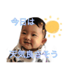 うえさまのひよちゃん（個別スタンプ：7）