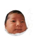 うえさまのひよちゃん（個別スタンプ：13）