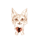 Cat's Look Sticker（個別スタンプ：7）