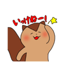 しまりすとくま（個別スタンプ：24）