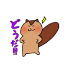しまりすとくま（個別スタンプ：33）