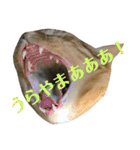 トラ柄3兄弟 ライチ・スダチ・ウルチ（個別スタンプ：21）