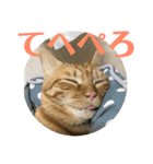 トラ柄3兄弟 ライチ・スダチ・ウルチ（個別スタンプ：32）