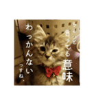 政宗と猫たち に（個別スタンプ：6）
