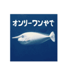政宗と猫たち に（個別スタンプ：21）