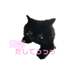 愛犬＆愛猫スタンプ（個別スタンプ：7）
