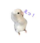 さんたとふじ（個別スタンプ：7）
