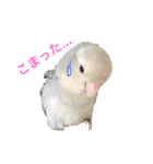 さんたとふじ（個別スタンプ：8）