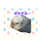 さんたとふじ（個別スタンプ：11）