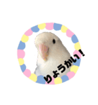 さんたとふじ（個別スタンプ：15）