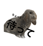 犬兎山羊（個別スタンプ：21）