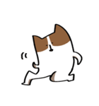 勢いがあるコーギー2（個別スタンプ：1）