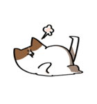 勢いがあるコーギー2（個別スタンプ：11）