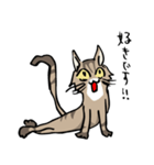 僕は猫ちゃんである。（個別スタンプ：1）