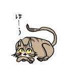 僕は猫ちゃんである。（個別スタンプ：2）