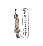 僕は猫ちゃんである。（個別スタンプ：3）
