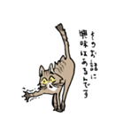 僕は猫ちゃんである。（個別スタンプ：5）