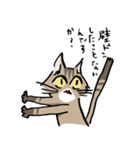 僕は猫ちゃんである。（個別スタンプ：8）