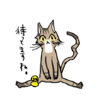 僕は猫ちゃんである。（個別スタンプ：10）