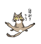 僕は猫ちゃんである。（個別スタンプ：12）