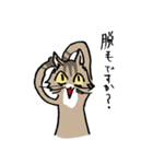 僕は猫ちゃんである。（個別スタンプ：13）