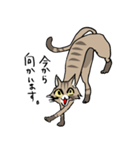 僕は猫ちゃんである。（個別スタンプ：15）
