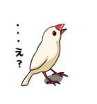 文鳥の日常（個別スタンプ：13）