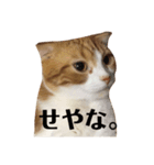 おもちスタンプズ2（個別スタンプ：7）