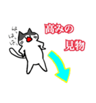 にゃんドリル（個別スタンプ：35）