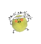 ガニ股がcuteな毛玉ひよこ❶（個別スタンプ：11）