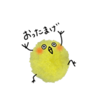 ガニ股がcuteな毛玉ひよこ❶（個別スタンプ：19）