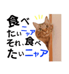 ニャアぽぽ（個別スタンプ：15）