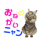 ニャアぽぽ（個別スタンプ：18）
