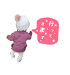 くろだみ（個別スタンプ：9）