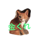 猫たちの沢山のつぶやき（個別スタンプ：1）