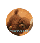 モコのスタンプ（基本編）（個別スタンプ：6）