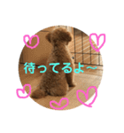 モコのスタンプ（基本編）（個別スタンプ：7）