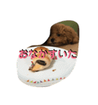 モコのスタンプ（基本編）（個別スタンプ：8）