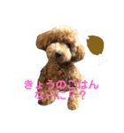モコのスタンプ（基本編）（個別スタンプ：9）