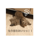 モコのスタンプ（基本編）（個別スタンプ：10）
